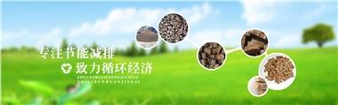 倪維斗院士：通過技術(shù)創(chuàng)新，大力發(fā)展超級能源生物質(zhì)燃料